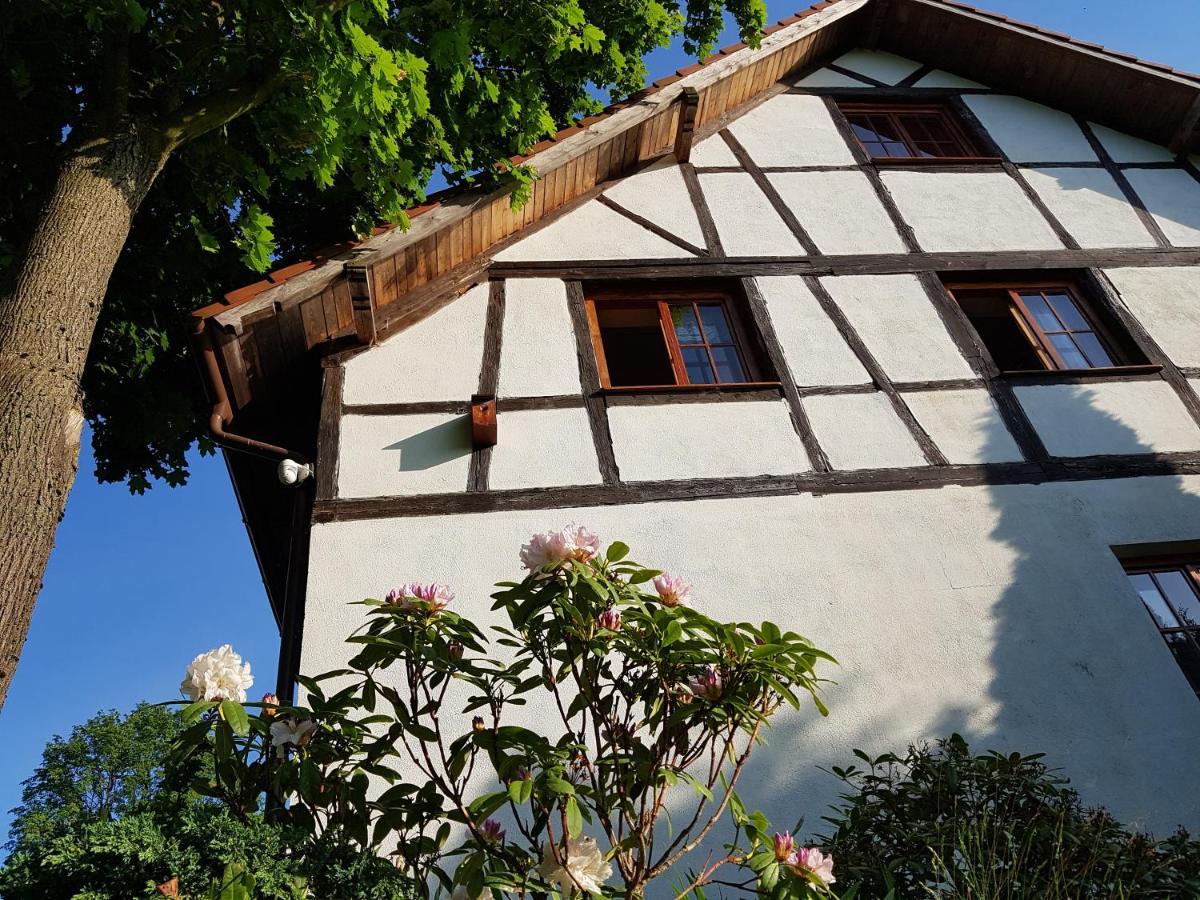 Agroturystyka Dowoli Świeradów-Zdrój Exterior foto