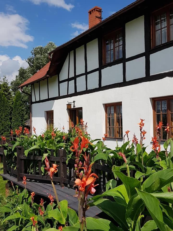 Agroturystyka Dowoli Świeradów-Zdrój Exterior foto